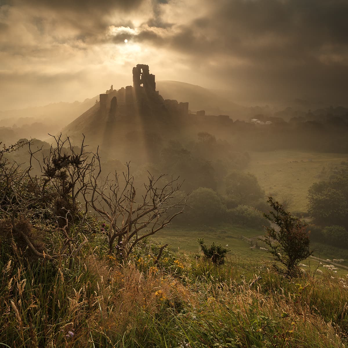 Corfe Castle Summer Mist by Andy Farrer Canon EOS 5D Mark II, 21mm, 1/40sec at f/11, ISO 100