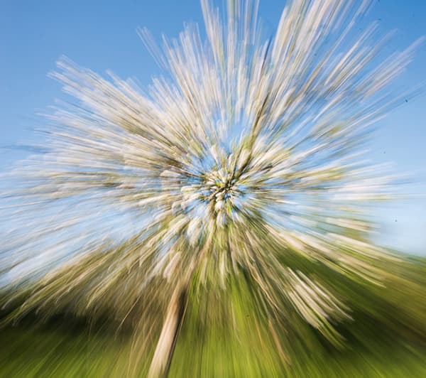 The zoom burst technique helps pull the viewer into the centre of the image