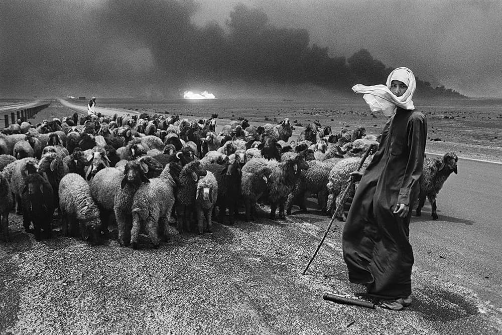 Sebastiao Salgado Kuwait Shepherd