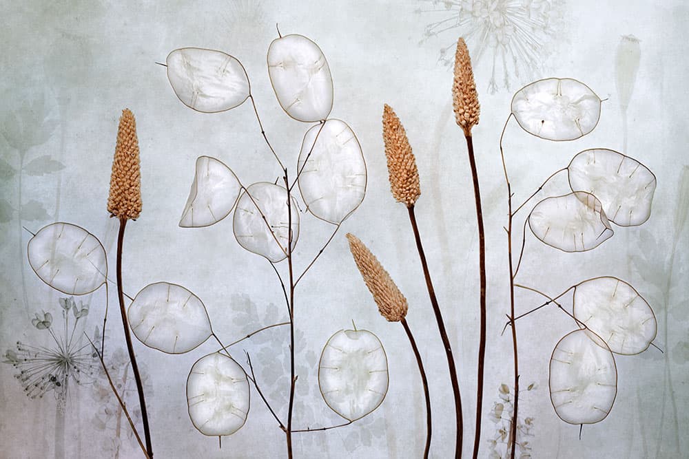 Mandy Disher florals add texture overlay