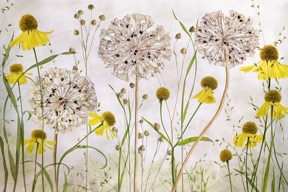 Mandy Disher florals try oil paint filter