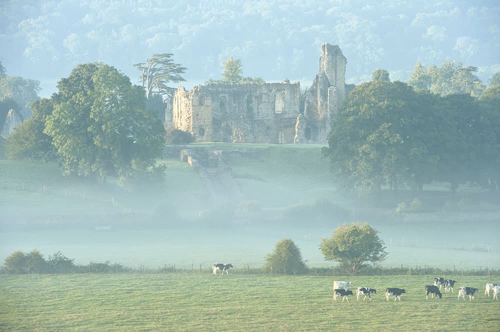 Jeremy Walker Sherborne Dorset old castle on misty morning