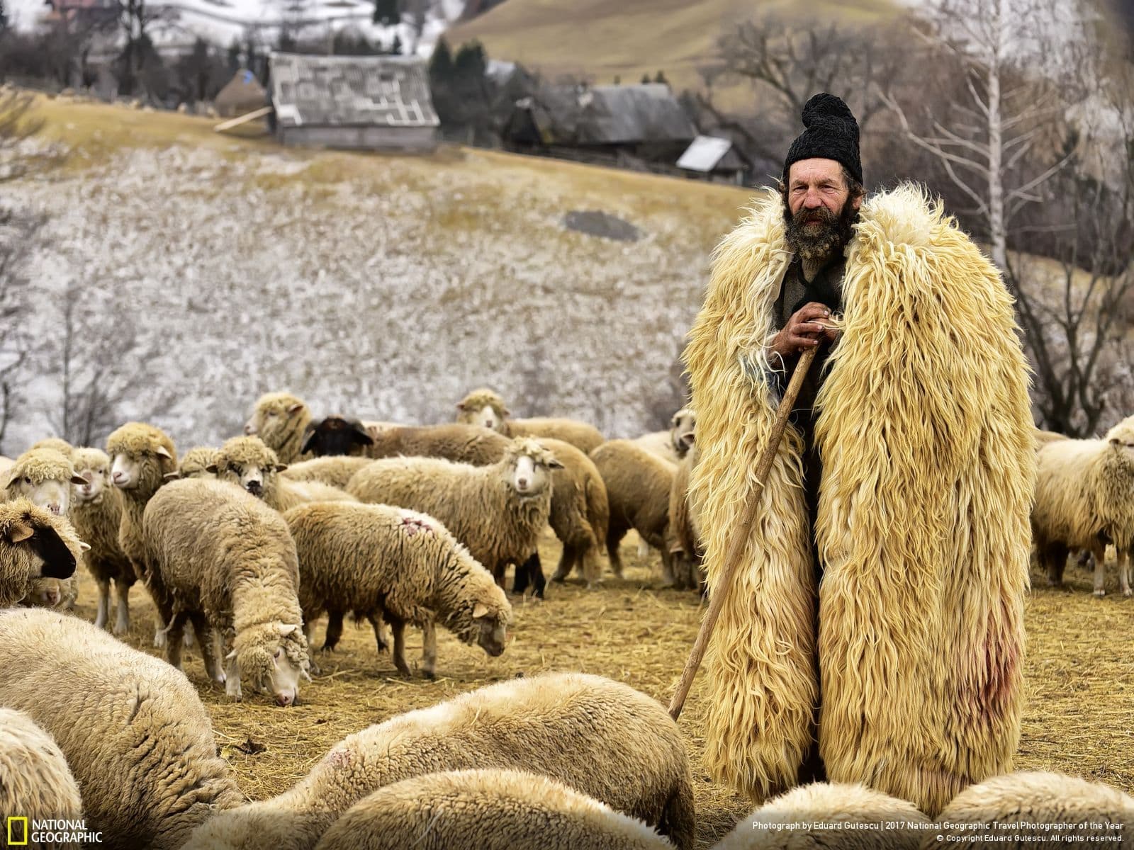 National Geographic Travel Photographer of The Year - Eduard Gutescu