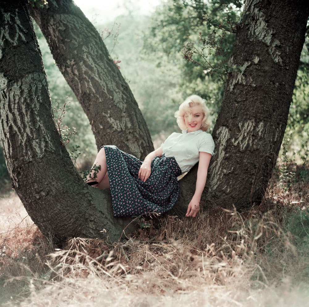 Milton H Greene Marilyn Monroe restored imaged Tree shoot 1953