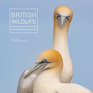 British Wildlife Photography Awards 10 book cover