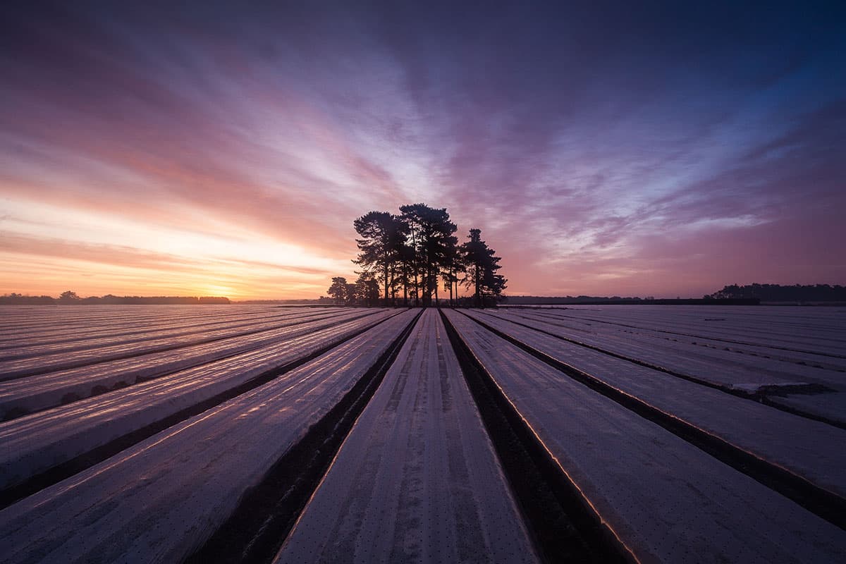 Lee Acaster, last year's APOY winner, submitted some stunning entries (Image: Lee Acaster)
