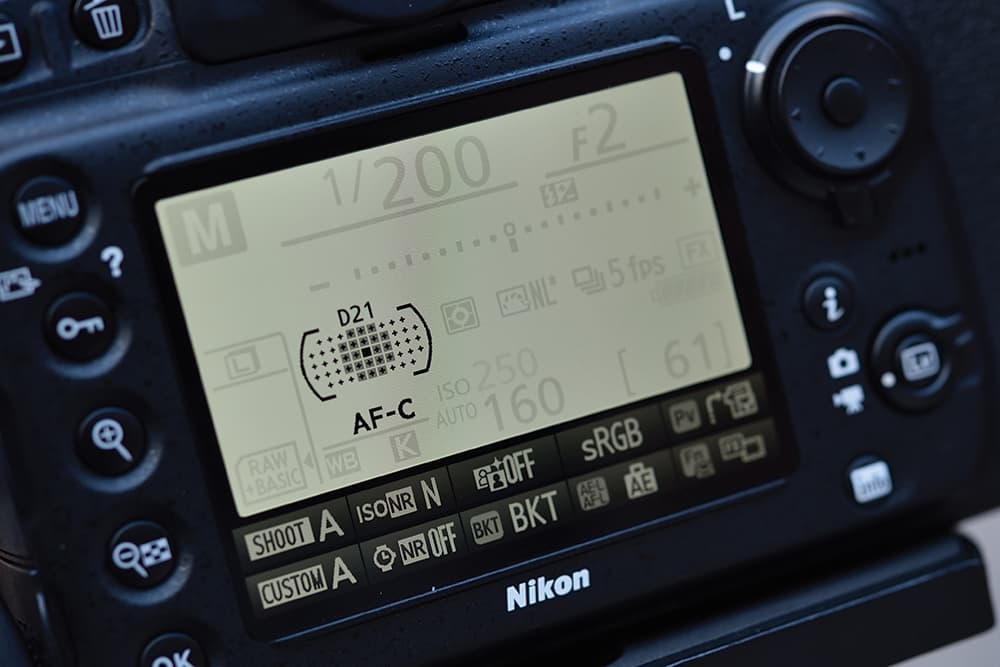Nikon-focus-modes-dynamic-area-focusing