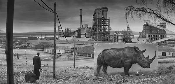 Factory with Rhino, 2014 