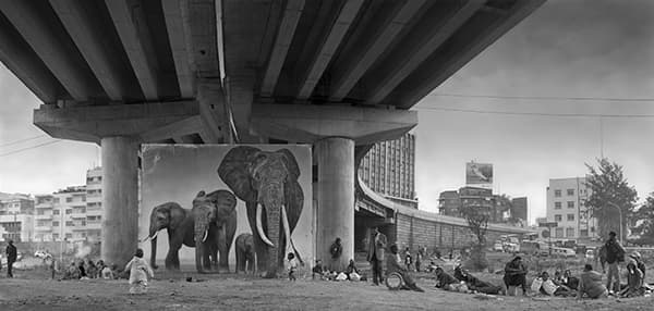 Underpass with Elephants (Lean Back, Your Life is on track), 2015
