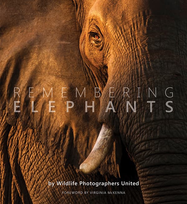 elephants-book-cover