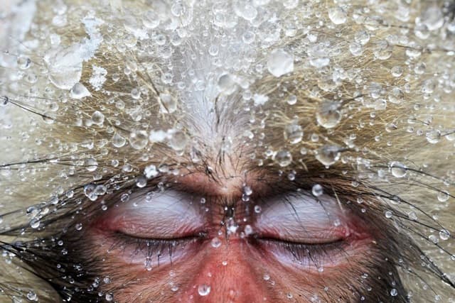 Winner of TPOTY 2015's One Moment - Water category -- Image credit: Jasper Doest/tpoty.com