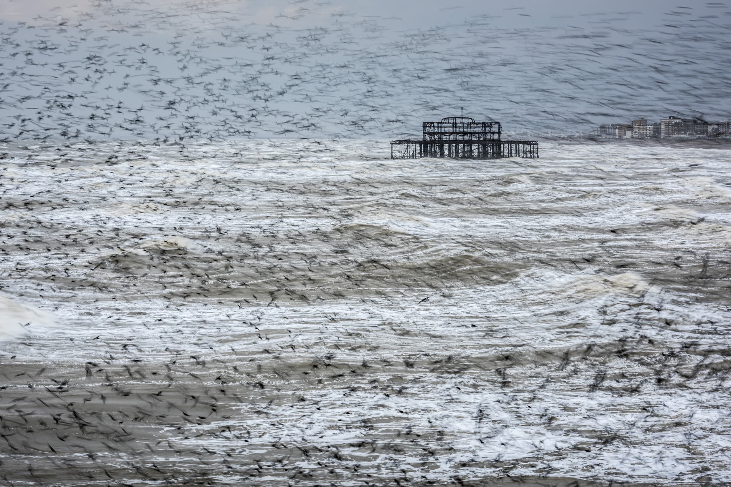 Grand winner: 'Brighton Pier during the winter starling murmuration, East Sussex, England'. Image by Matthew Cattell