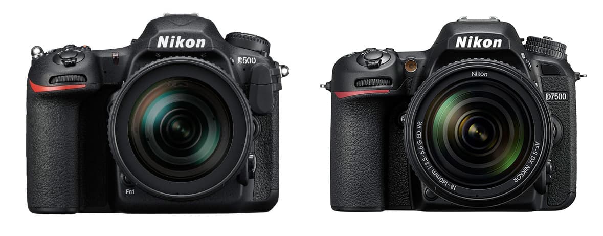 D7500 vs Nikon D500