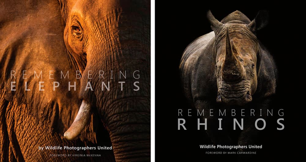 Remembering elephants and remembering rhinos-books