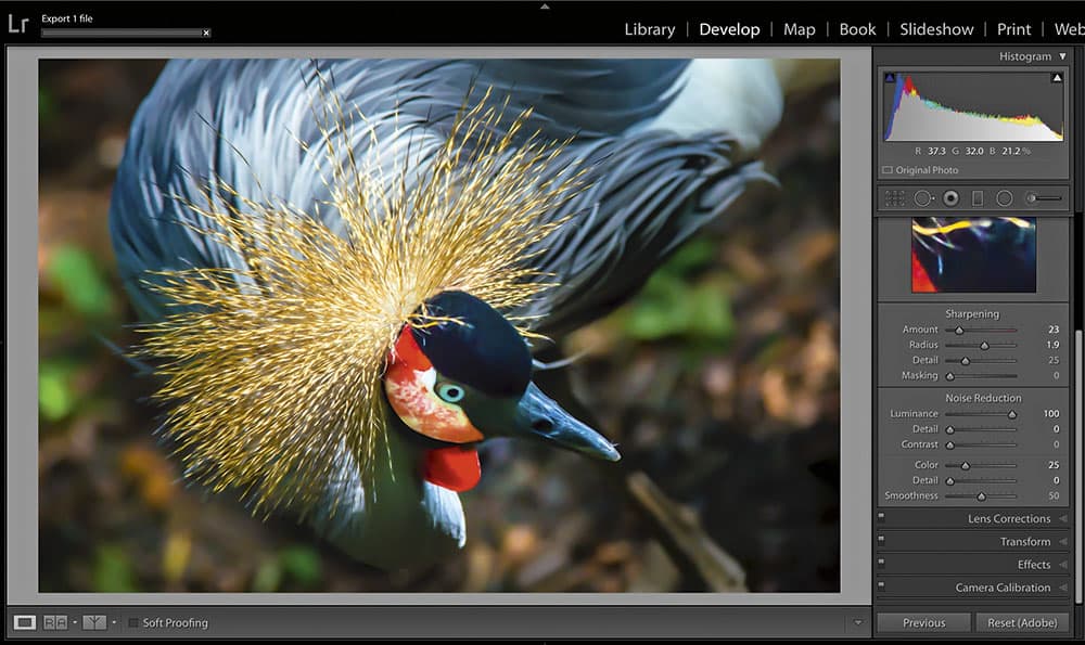 lightroom tips tip9 get a painterly look