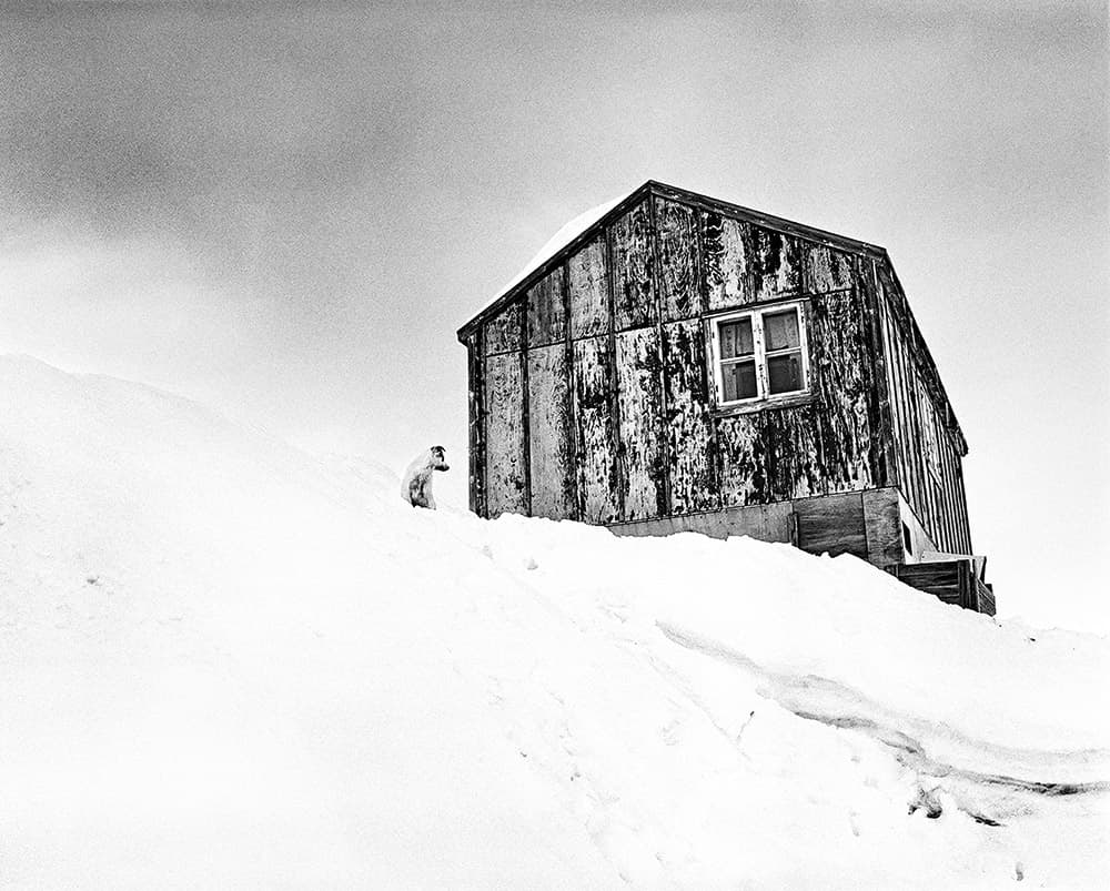 Paolo Solari Bozzi Inuit wooden cabin Sermiligaaq