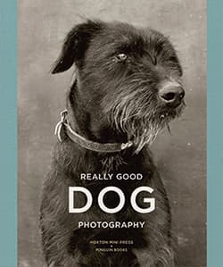 really good dog photography cover