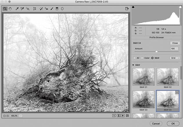 Camera raw black and white conversion tool