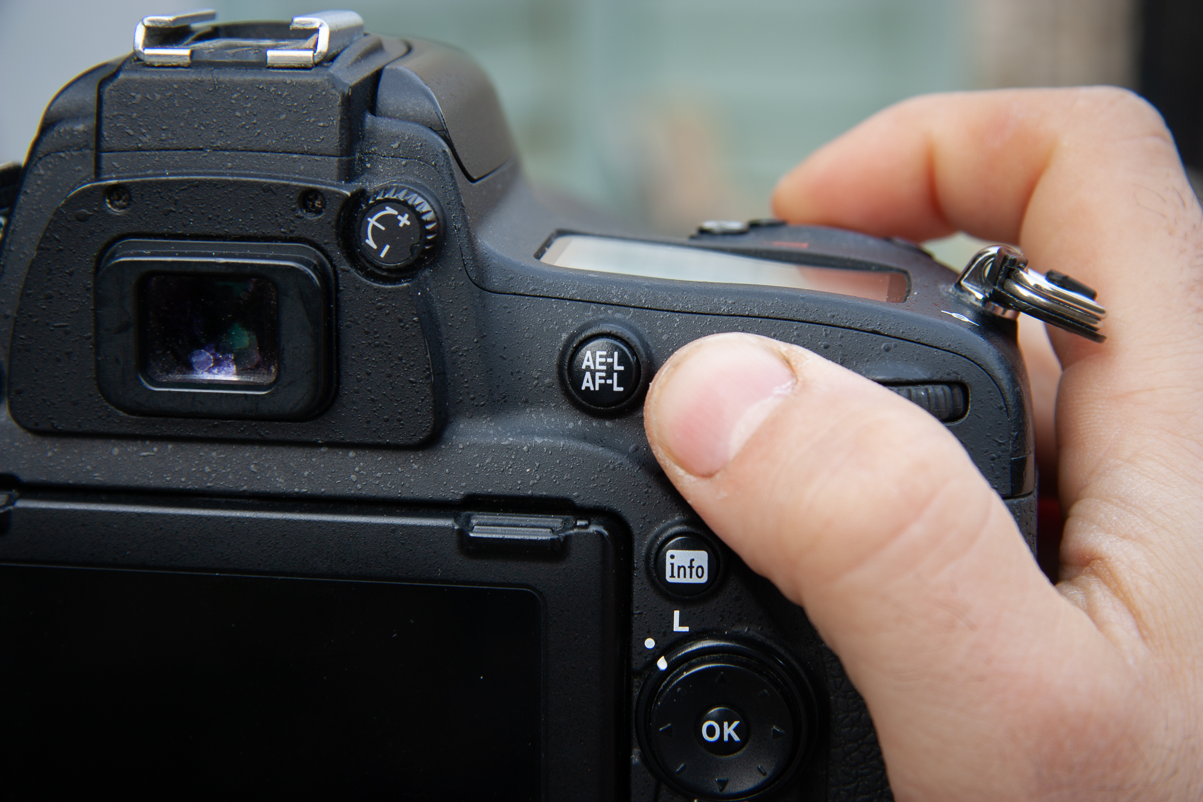 back button focus - how to take sharp photographs